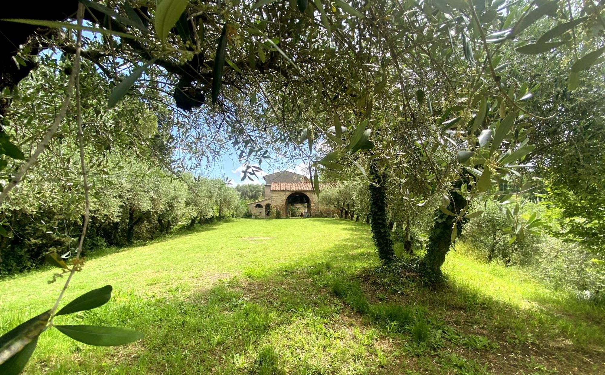 Ferienwohnung La Tonnaia Lari Exterior foto